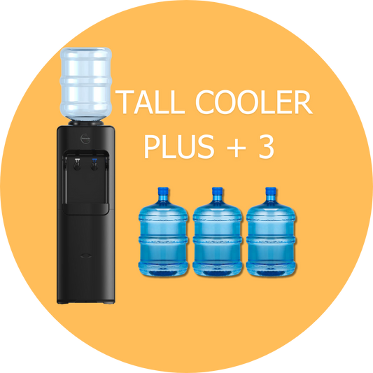 Freestanding Dispenser + 3 Free Returnable Bottles