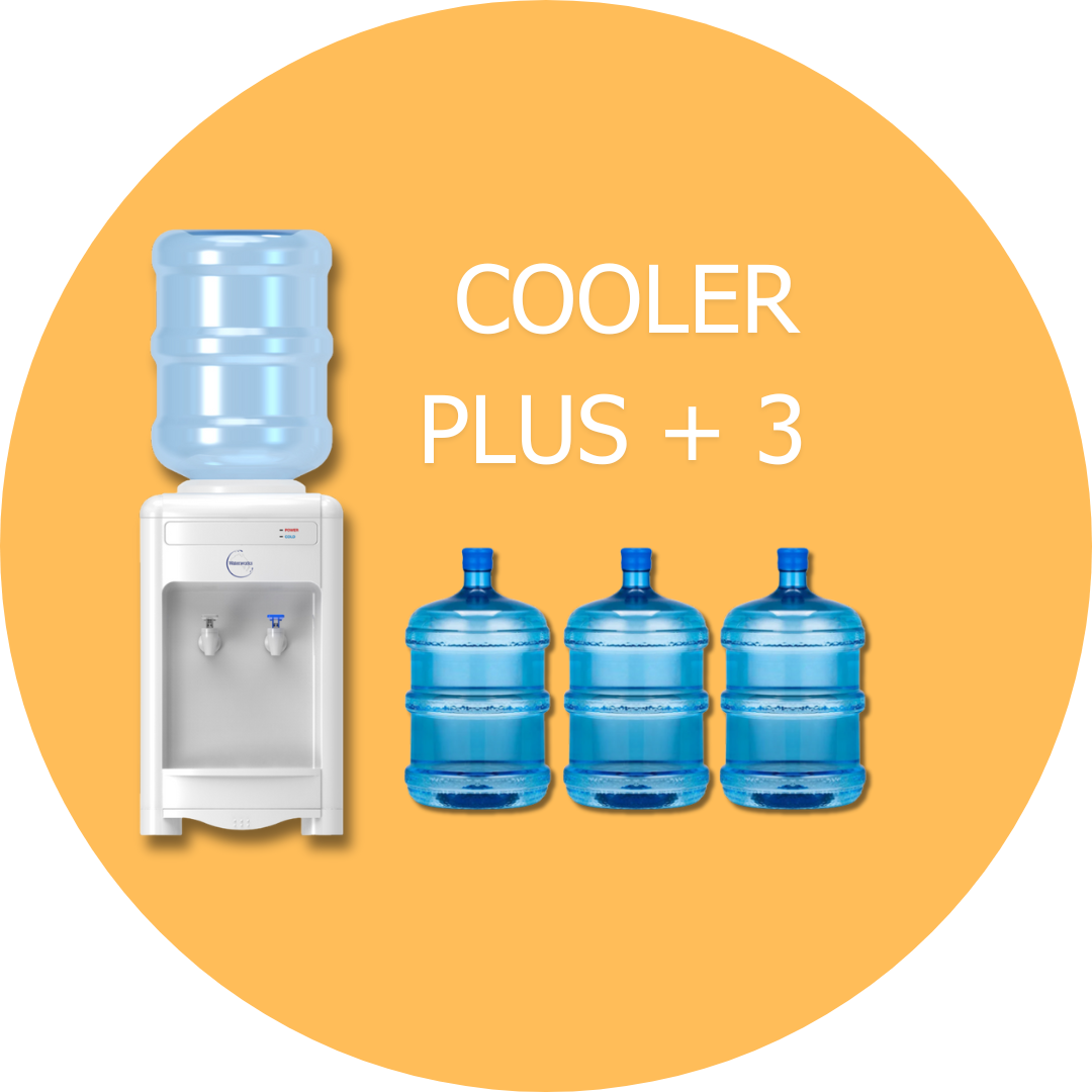 Bench Top Dispencer + 3 Free Returnable Bottles