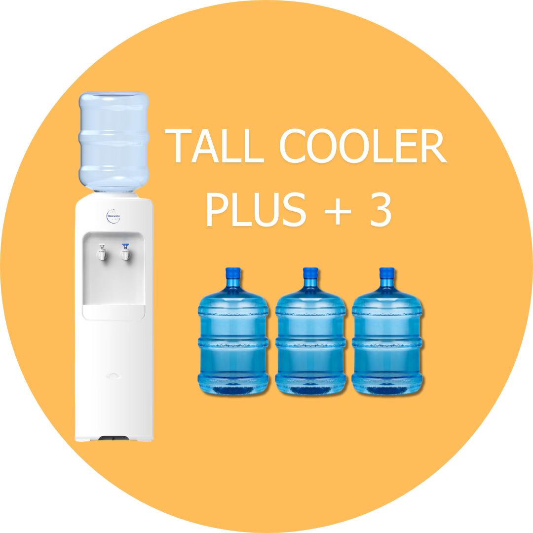 Freestanding Dispenser + 3 Free Returnable Bottles